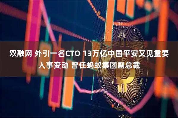 双融网 外引一名CTO 13万亿中国平安又见重要人事变动 曾任蚂蚁集团副总裁