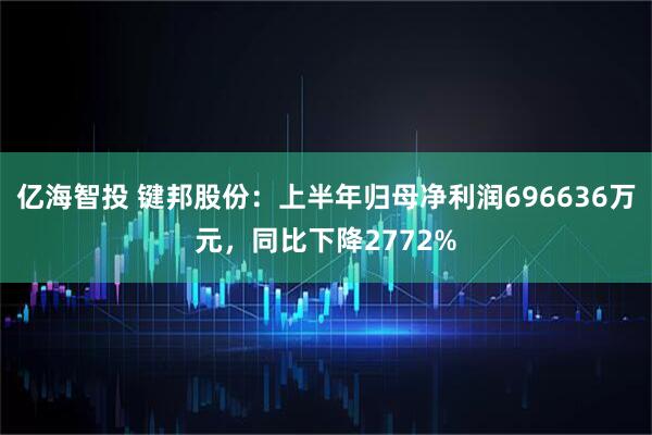 亿海智投 键邦股份：上半年归母净利润696636万元，同比下降2772%