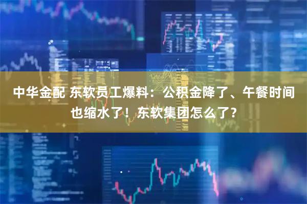 中华金配 东软员工爆料:公积金降了、午餐时间也缩水了!东软集团怎么了?