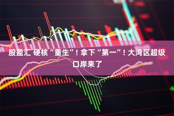 股盈汇 硬核“重生”! 拿下“第一”! 大湾区超级口岸来了