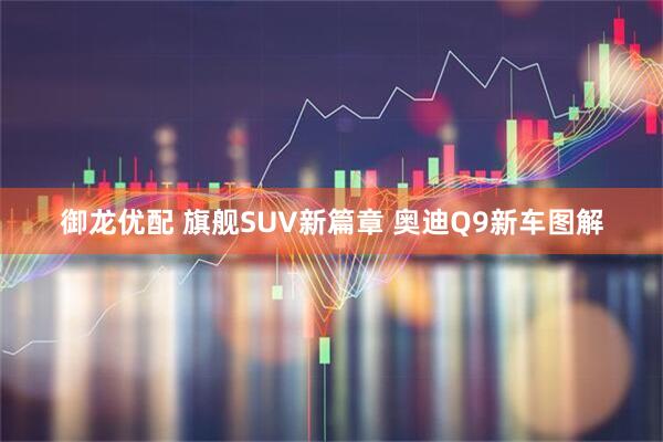 御龙优配 旗舰SUV新篇章 奥迪Q9新车图解